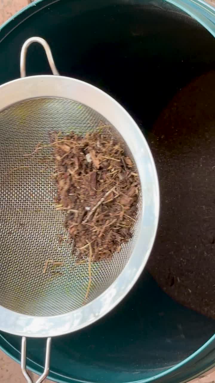 Organic compost soil sifted through handheld strainer, separating fine dirt from debris in natural light