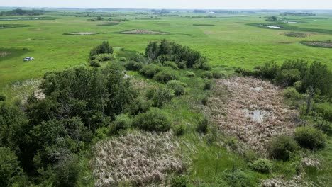 Cinematic-Drone-Flies-Surveying-above-a-Summertime-Grassy-Forest-Riparian-Blue-Water-Island-Wetland-Grassland-on-Outdoor-Nature-Lake-Habitat-Farmland-Field-Crop-Park-landscape-in-Manitoba-Canadian