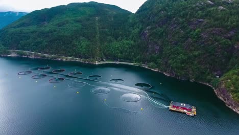 aerial footage farm salmon fishing in norway