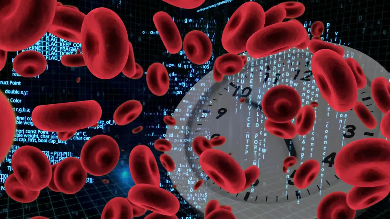 적혈구와 백색 시계