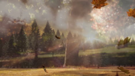 autumn leaves falling over sunlit forest with trees in background animation