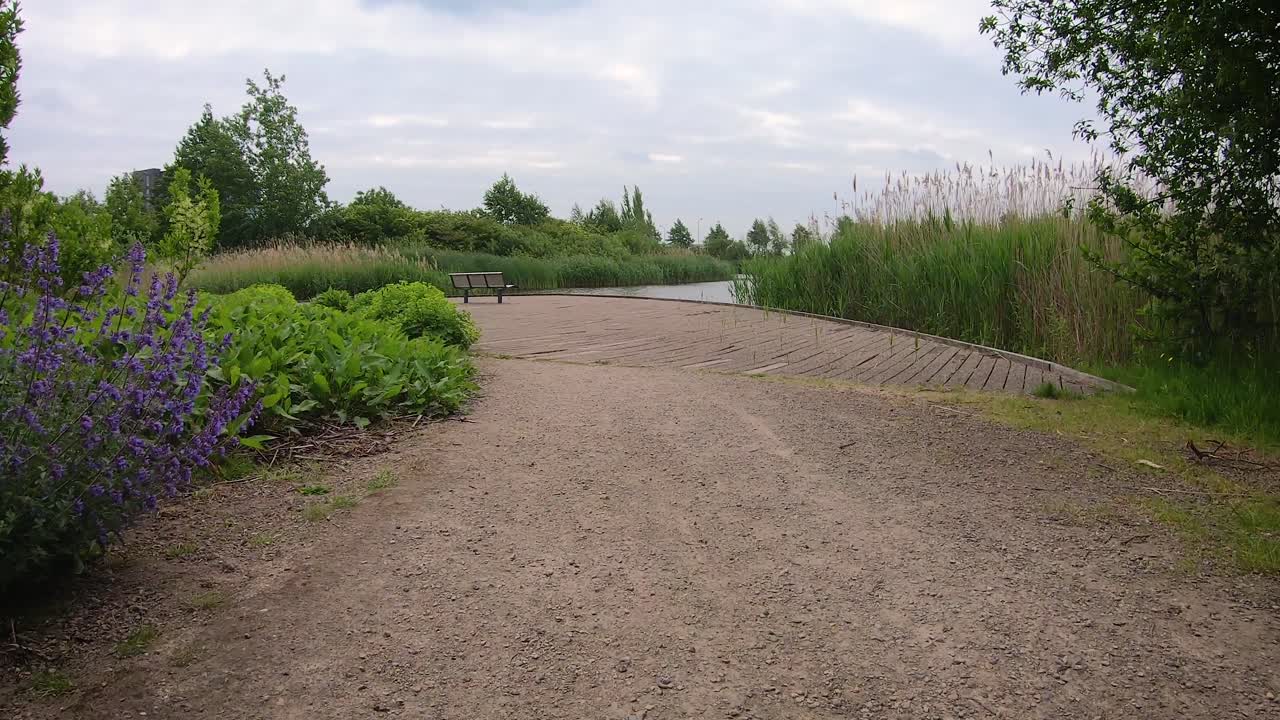 연못에 접근할 수 있는 꽃과 덤불 사이의 공원 길을 따라 통로