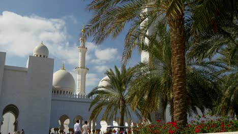 hora del día cielo azul abu dhabi famoso jeque zayed frente de la mezquita flores vista 4k emiratos árabes unidos