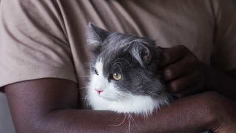 el dueño de la mascota con su gato