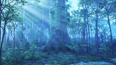 sunlight through the trees in a lush rainforest