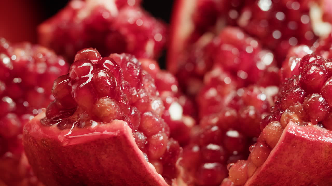 달이 씨의 클로즈업