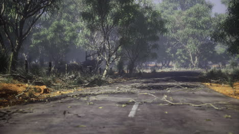 storm aftermath reveals a peaceful road surrounded by lush trees