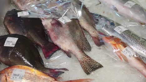 fish on ice at japanese market in toba, mie prefecture