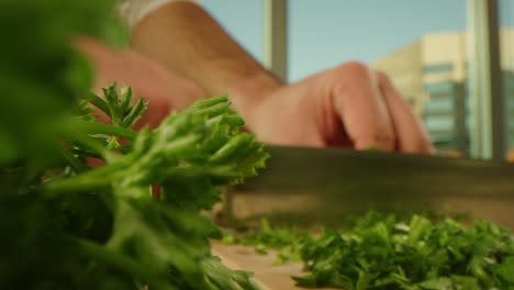 chopping parsley macro shot