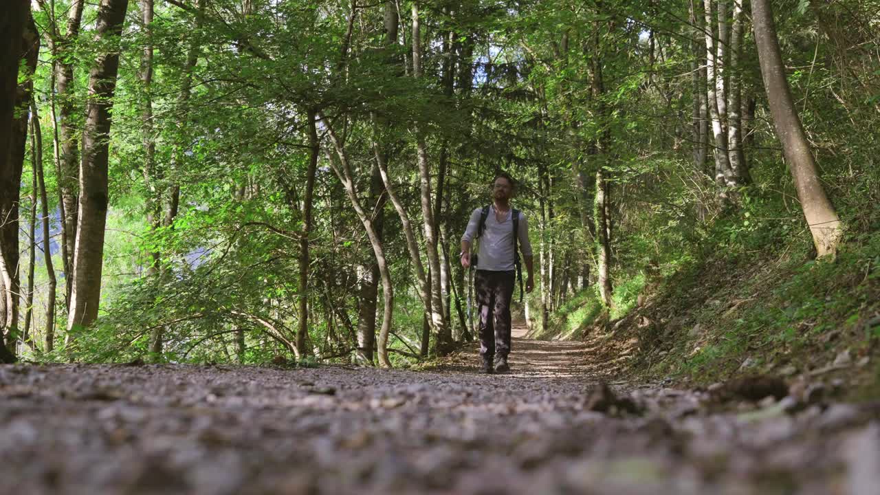 Hiker enjoying calm peaceful nature walk on trail through shady Forest, low angle shot