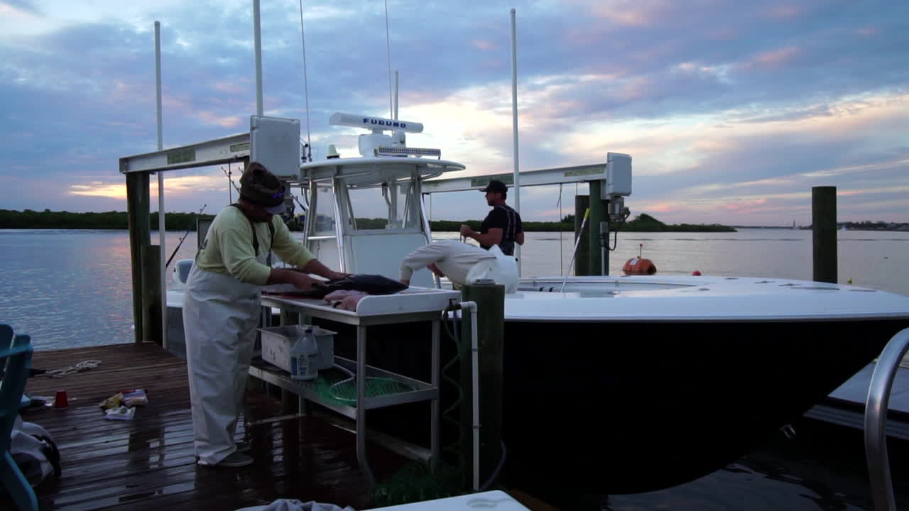 Three men unload docked fishing boat and fillet large fish at dusk, medium shot fixed