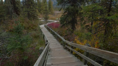 Paseo-Marítimo-Por-Un-Pantano-En-El-Bosque-En-Otoño-De-Ancho