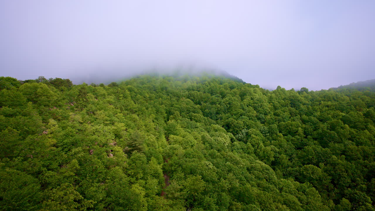 Aerial flyover showcasing fog weaving through the Smoky Mountains