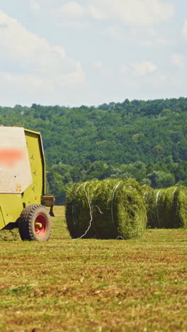 tractor pressing grass into round bales on the field in summer. agricultural machine makes pressed bundle of green grass outdoors. vertical video