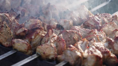 roasting juicy and marinated pig meat with spices and herbs in burning charcoals on bbq grid, smoke in slow motion, closeup shot