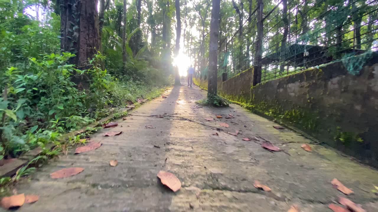 으스스한 추종자 포