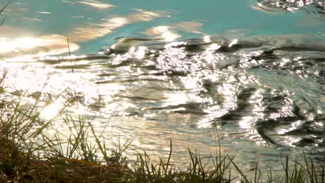 Hermosos-Colores-Se-Reflejan-En-El-Agua-En-Un-Pequeño-Arroyo-Balbuceante