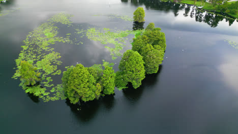 Birds Flying Over The Hillsborough River With Green Trees And Water Lilies In Florida, USA. - aerial, orbiting left shot