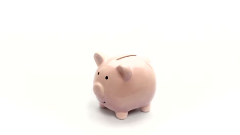 saving money on pink piggy bank isolate. hand putting coin into pig doll bank on white background. vdo 4k, fhd, full hd,1080