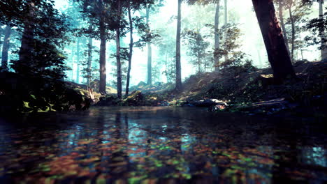 a beautiful forest scene with a stream running through it