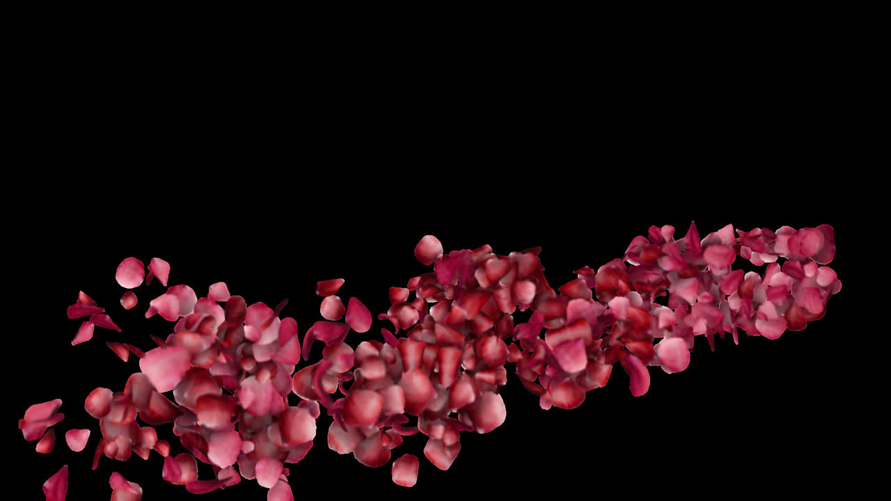Flying Rose Petals Linear Reveal Overlay
