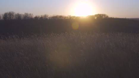 Sonnenuntergang-über-Einem-Wilden-Feld-Mit-Blick-Auf-Den-Talhorizont