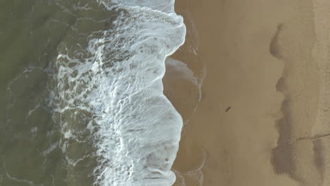 aerial shot following the crashing waves on a empty, sandy, golden, beach