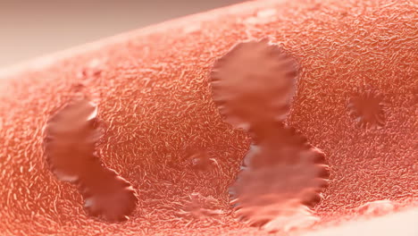microscopic view of textured biological surface