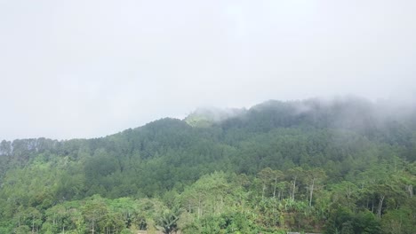 Video-Estático-De-La-Niebla-Que-Se-Mueve