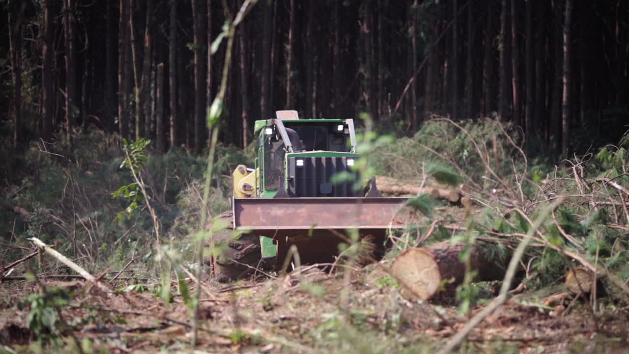 Footage of a tractor moving through a reforestation area in the forest, navigating uneven terrain with felled trees and natural vegetation