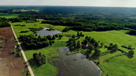 aerial flyover rural meadow landscape with trees and natural lake in summer