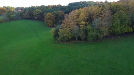 Hermosos-árboles-De-Otoño-Junto-A-Un-Exuberante-Campo-Verde-En-La-Campiña-Inglesa---Toma-Aérea-De-Drones-Uk-4k