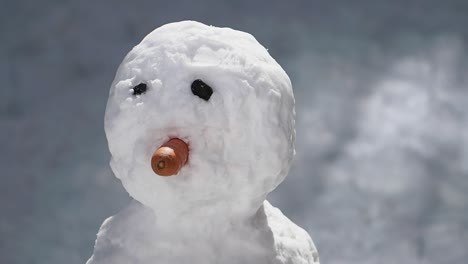 close-up of a snowman's head