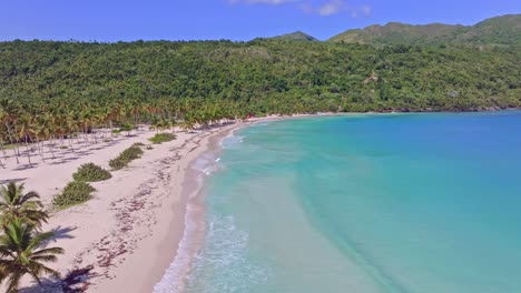 aerial establishing shot of empty playa rincon beach with palms and turquoise water