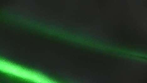 mushroom spore dispersal in detail green laser illumination