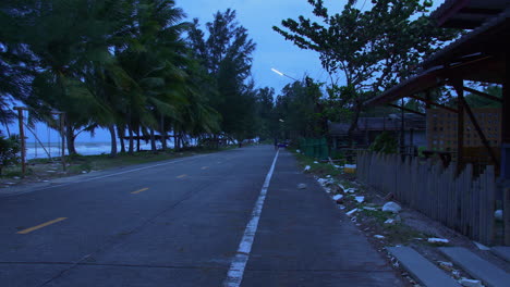 windy tropical road with palm trees in blue evening light