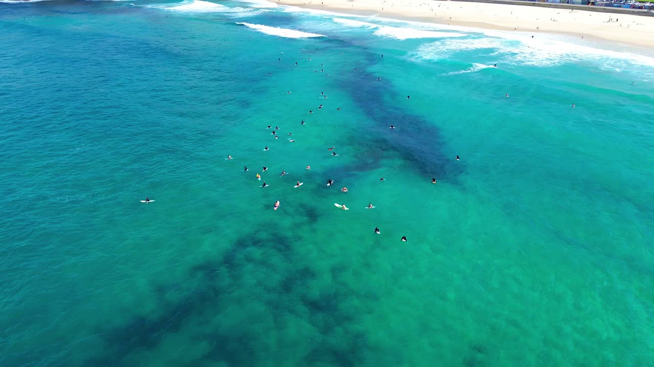 Aerial view of surfers paddling in crystal blue water