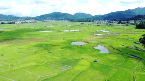 aerial view shot of paddy field in arunachal pradesh