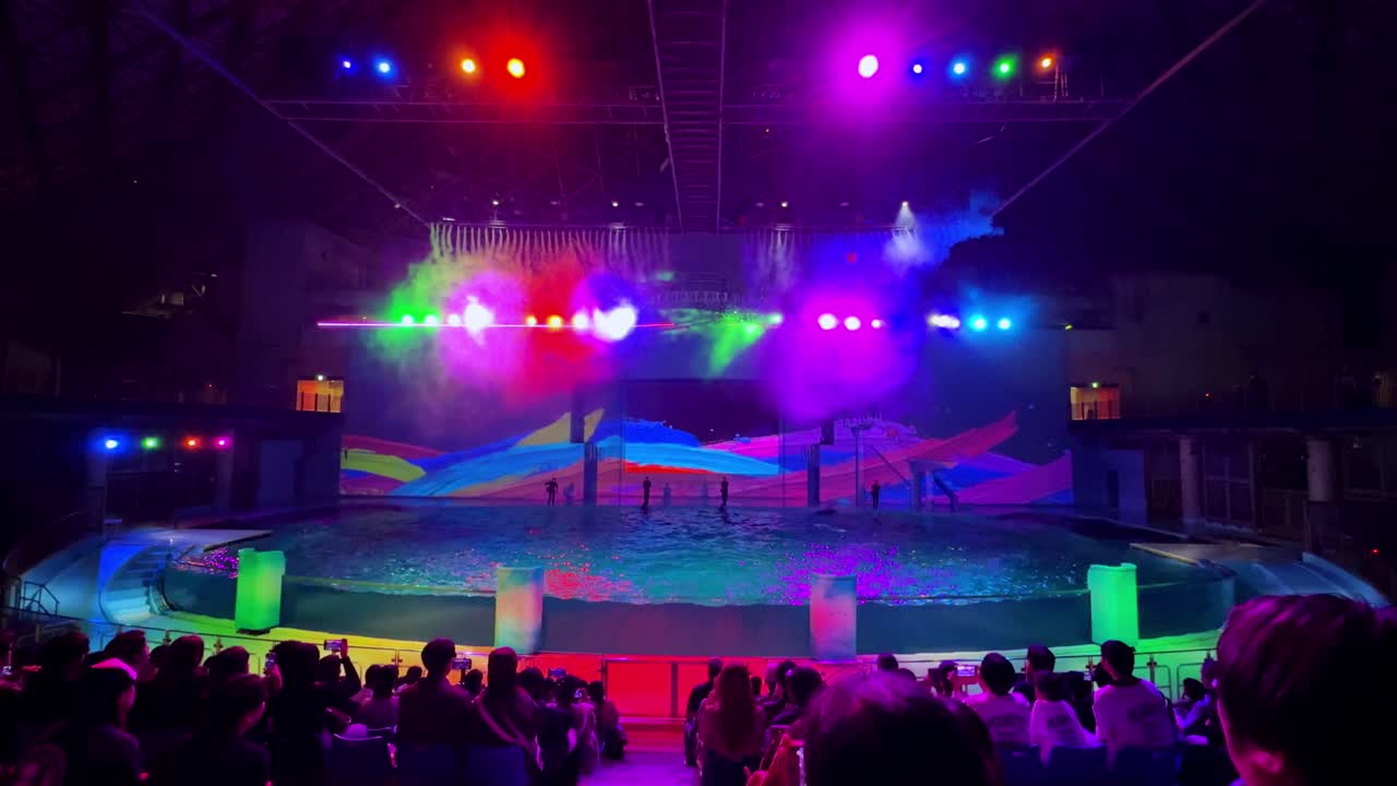 Colorful Water Show Performance with Dynamic Lighting and Crowd