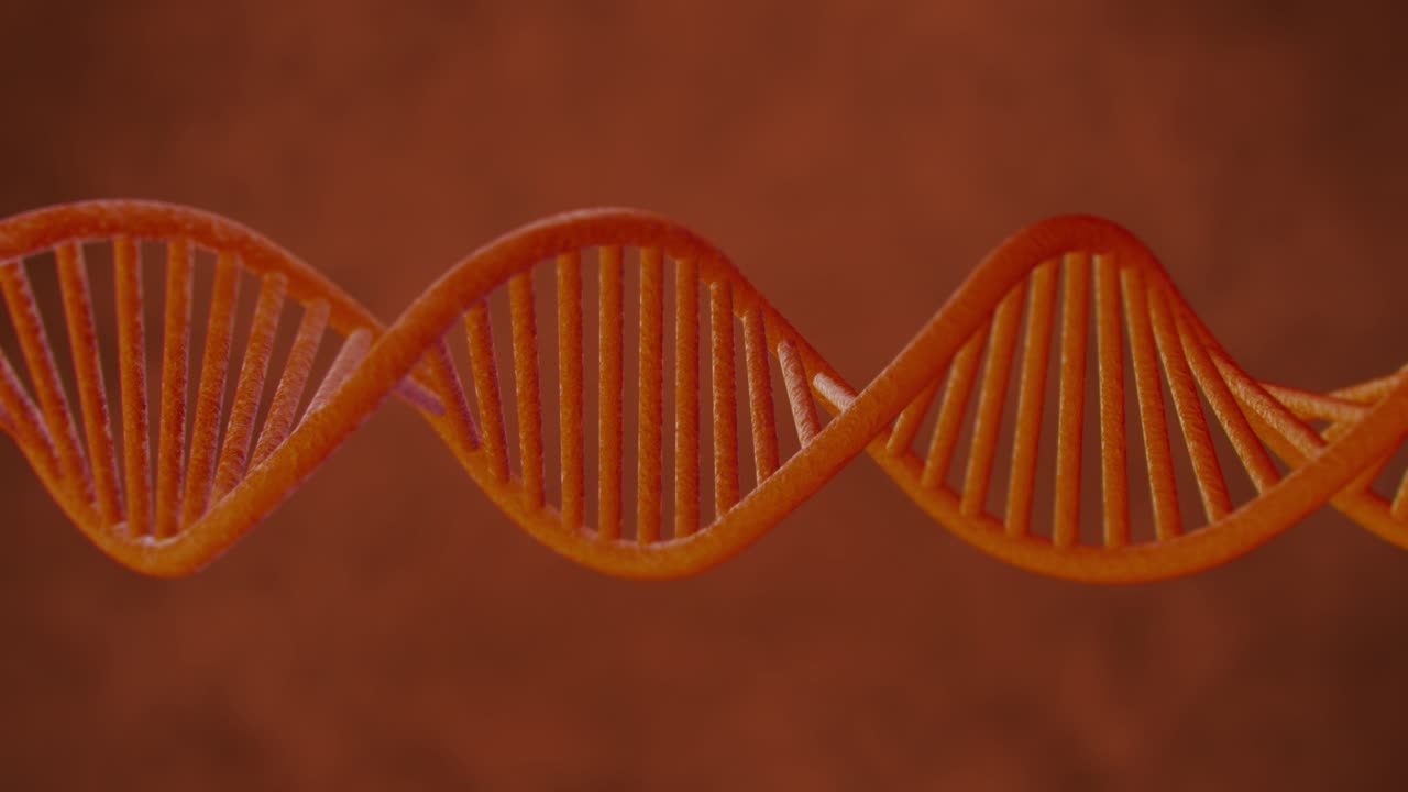 DNA rotante nel corpo con ripresa di una formula, video in loop, profondità di campo in 4K