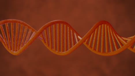 rotating dna in body with formula shot loop-able video depth of field in 4k