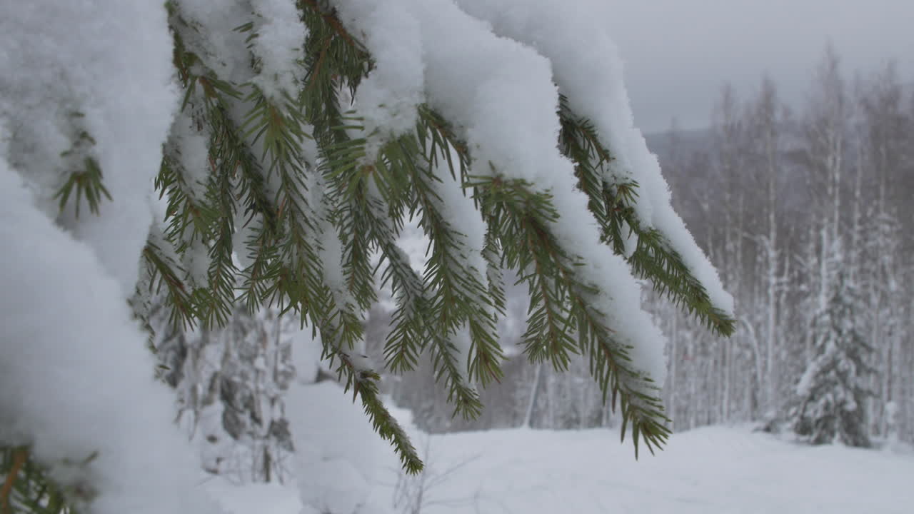 paisaje invernal nevado en una estación de esquí