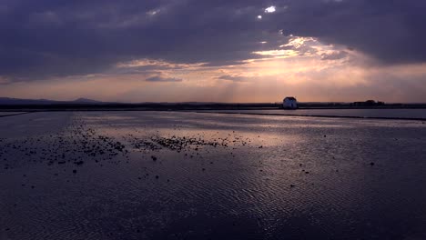 Schönes-Licht-Reflektiert-Von-Reisfeldern-Und-Reisfeldern-In-Der-Nähe-Von-Albufera-Spanien-5