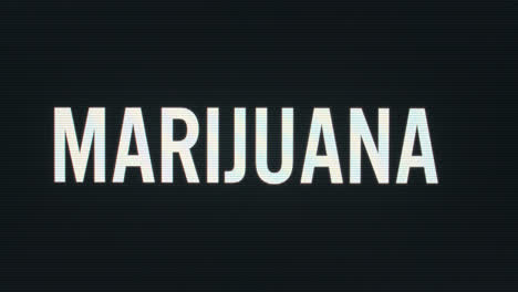 closeup of marijuana being typed onto vintage computer monitor with blinking cursor