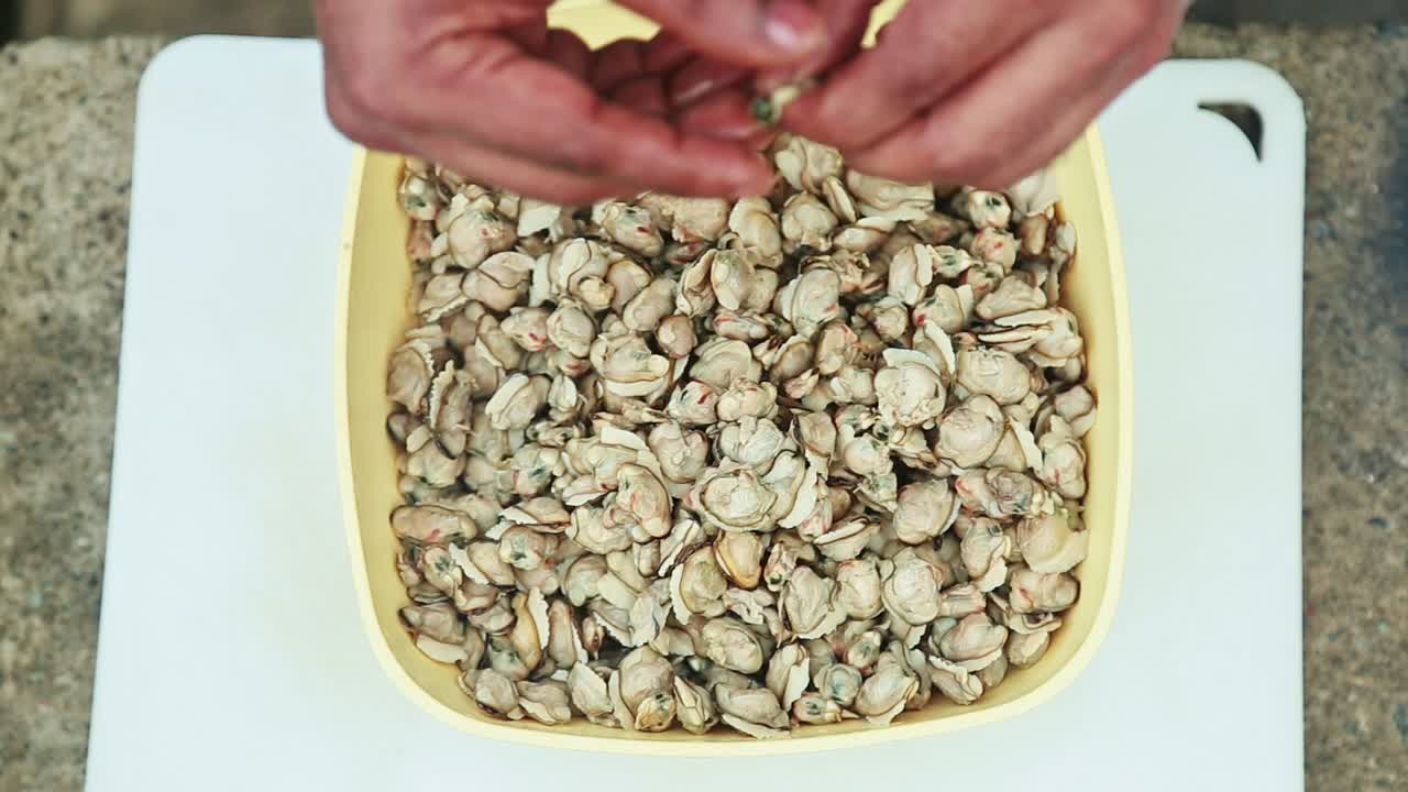 검은 조개 고기 안의  ⁇ 을 제거하고 청소합니다. 고기를 손으로 청소합니다.