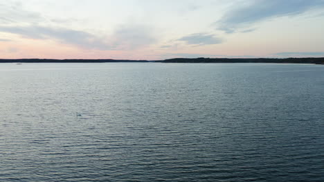 Vista-Aérea-De-Cisne,-En-La-Costa-Del-Archipiélago-De-Porkkalaniemi,-Soleado,-Atardecer-De-Verano,-En-Porkkala,-Uusimaa,-Golfo-De-Finlandia---Seguimiento,-Disparo-De-Drones