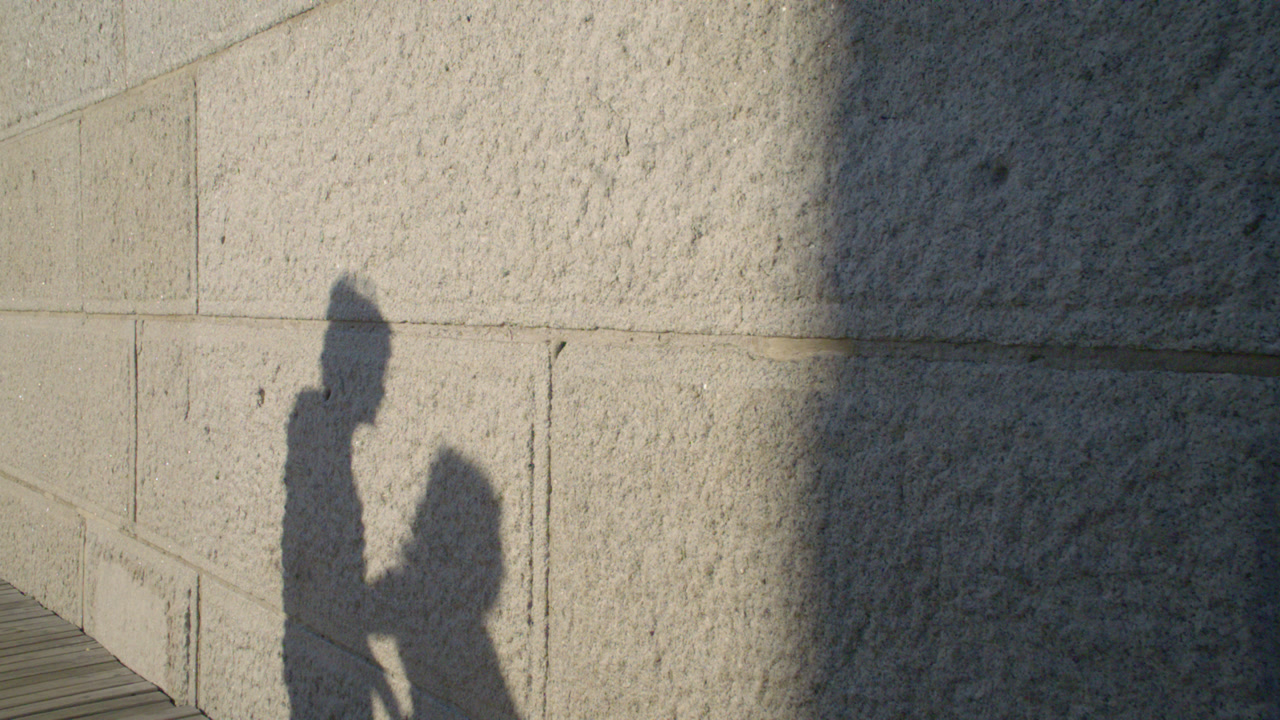 Shadow of a couple walking at sunset