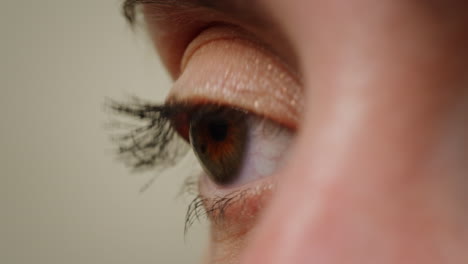 primer plano de un ojo con maquillaje