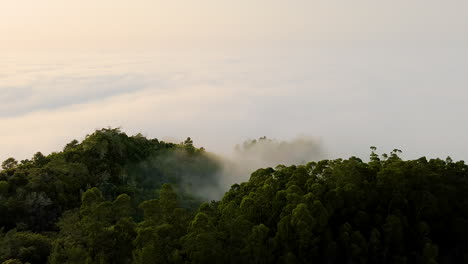 Mountain-Forest-Above-The-Clouds-In-Madeira,-Portugal---aerial-shot