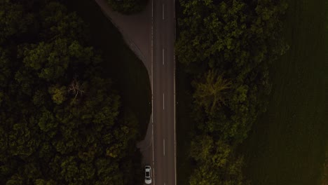 Aufsteigende-Aufnahme-Einer-Drohne-über-Einer-Straße-In-Einem-Wald,-Während-Ein-Auto-Vorbeifährt-Und-Dem-Kamerablick-Darauf-Bis-Zum-Goldenen-Lichthorizont-In-Den-Frühen-Morgenstunden-Folgt